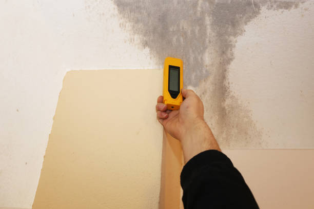 Best Indoor Air Quality Assessment  in Covelo, CA