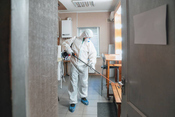 Best Environmental Consulting for Mold Prevention  in Covelo, CA