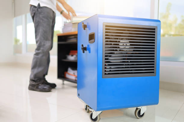 Best Mold Remediation for Rental Properties  in Covelo, CA